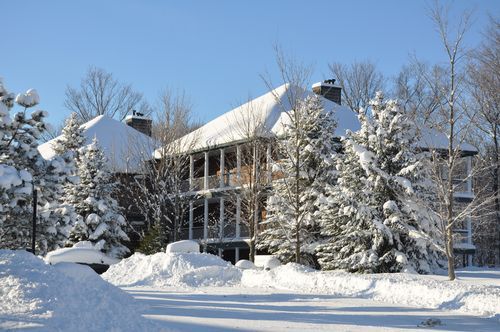 4 Season Fun At Legend Cottage Inn Bellaire Ngoại thất bức ảnh
